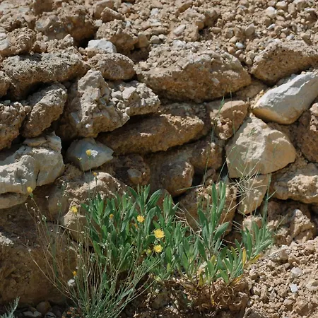 빌라 Hidden Gem By Nono Ban 볼